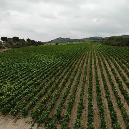 Domaine Fontgrande Casa de Férias Carcassonne