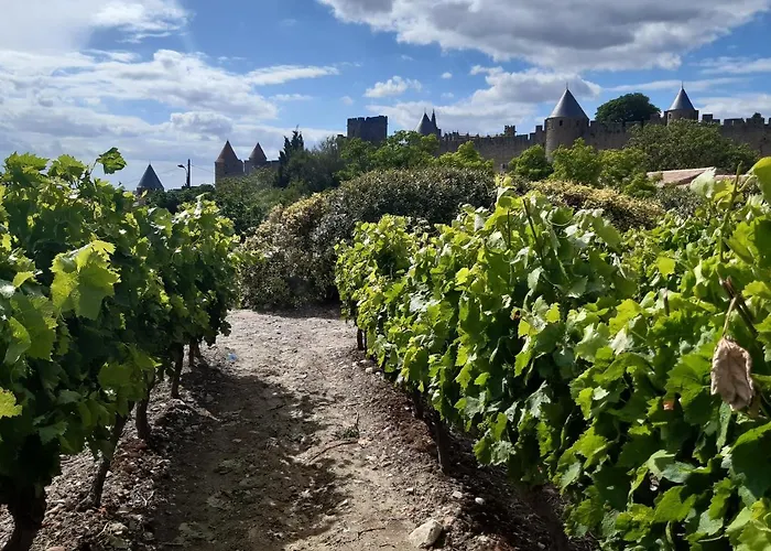 Domaine Fontgrande Carcassonne