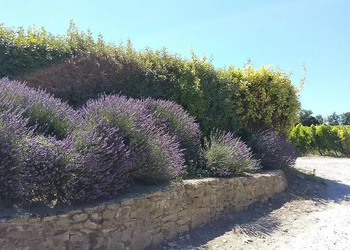 Fontgrande Tatil Evi