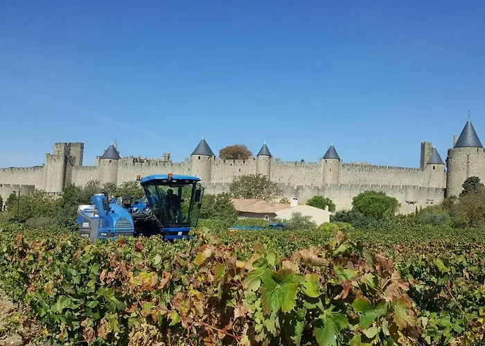 Fontgrande Tatil Evi *