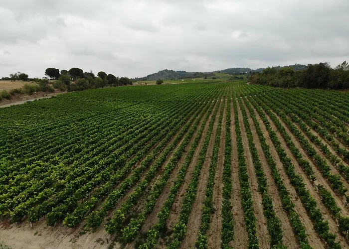 Domaine Fontgrande בית נופש קרקסון